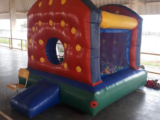 Piscina de Bolinhas Casinha Leão – combo Festa dos Pequenos